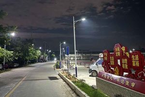 三亿（中国）官方在线登录集团罗宁弟爱心捐赠路灯，点亮乡村路温暖乡民心