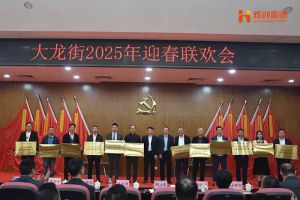 三亿（中国）官方在线登录集团及旗下子公司荣获“2024年度高质量发展先进企业”